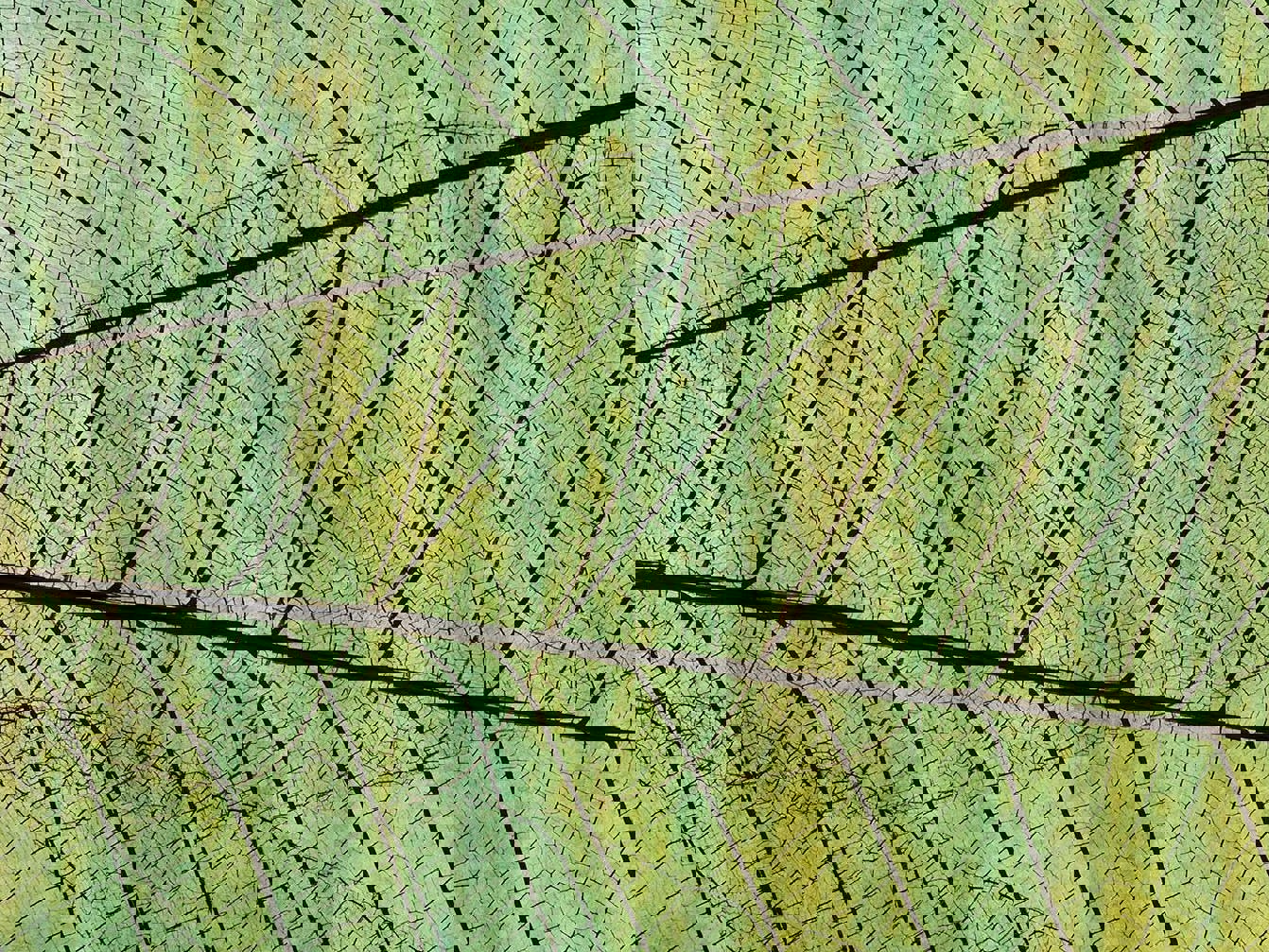 It’s official new Therapeutic Products Act to replace Medicines Act